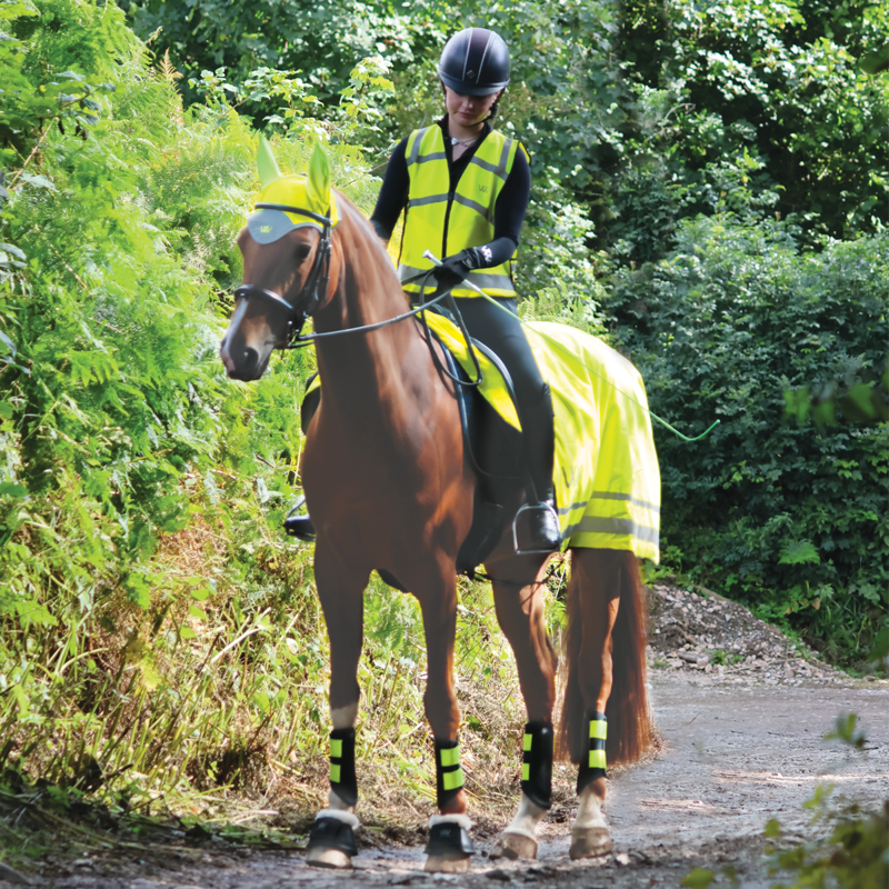 Woof Wear Hi Vis Exercise Sheet - Yellow-1